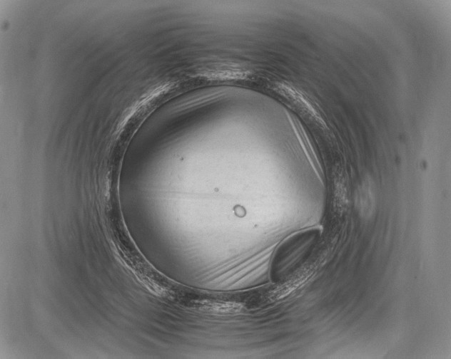 X0000081610539200702051357