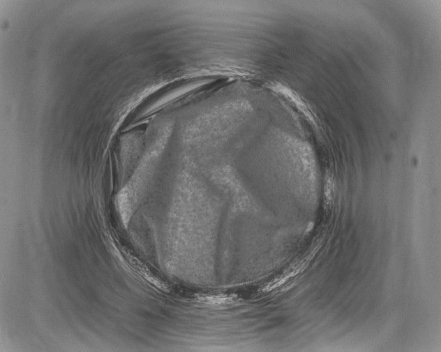 X0000081610540200702051357