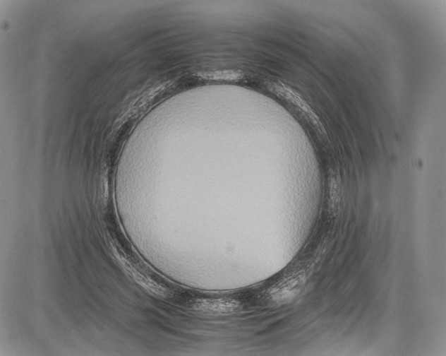 X0000081610541200702051357