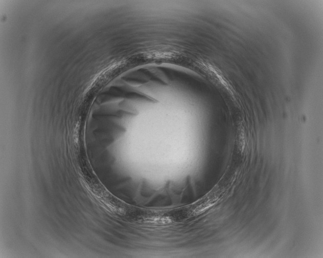 X0000081610543200702051357