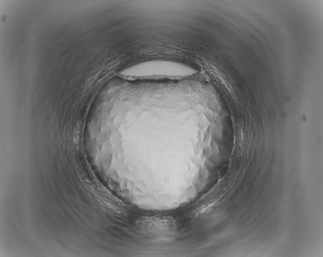 X0000081610545200702051357