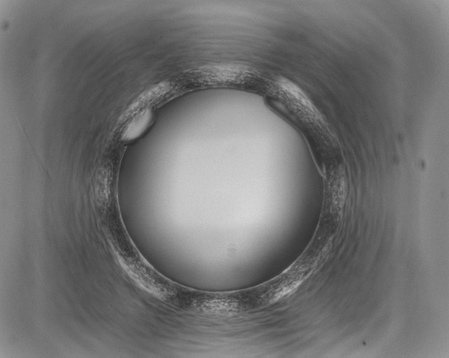 X0000081610546200702051357