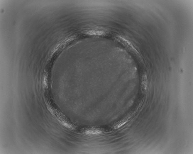 X0000081610547200702051357