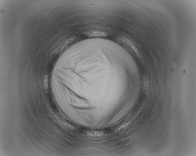 X0000081610549200702051357