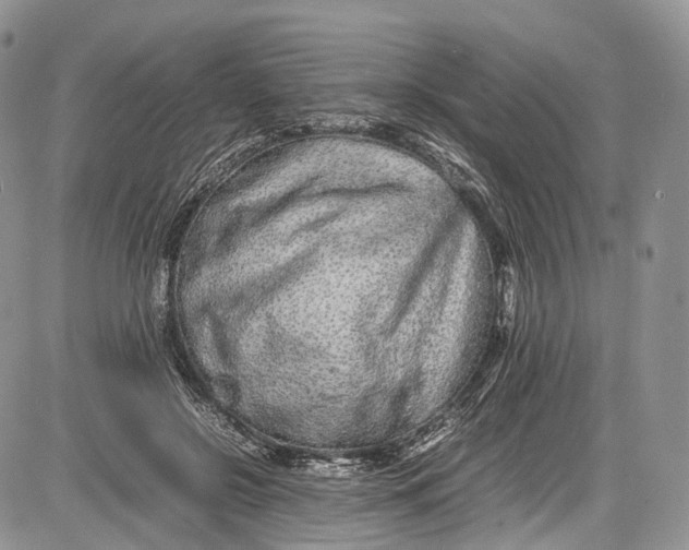 X0000081610550200702051357