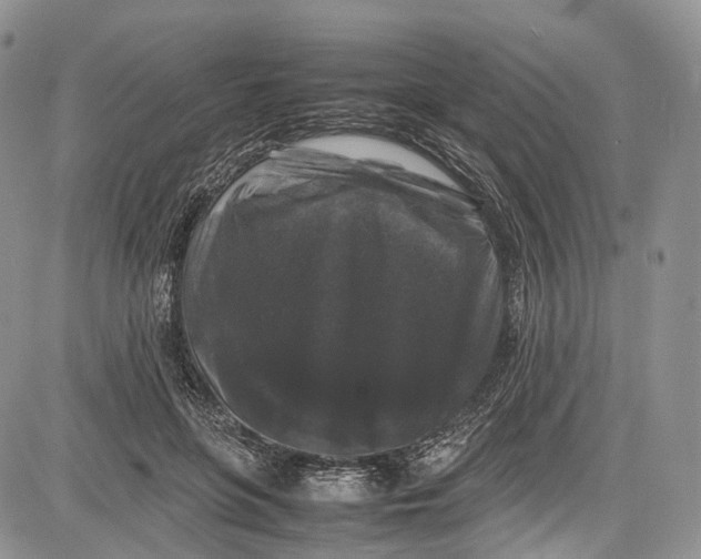 X0000081610551200702051357