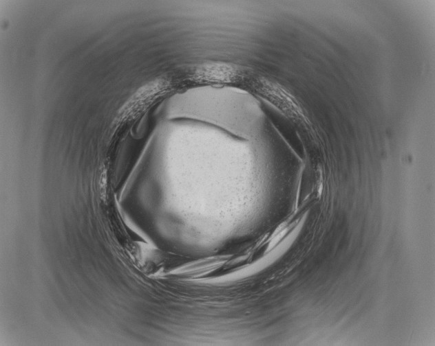 X0000081610552200702051357