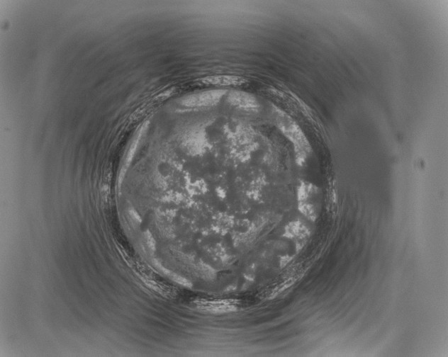 X0000081610553200702051357