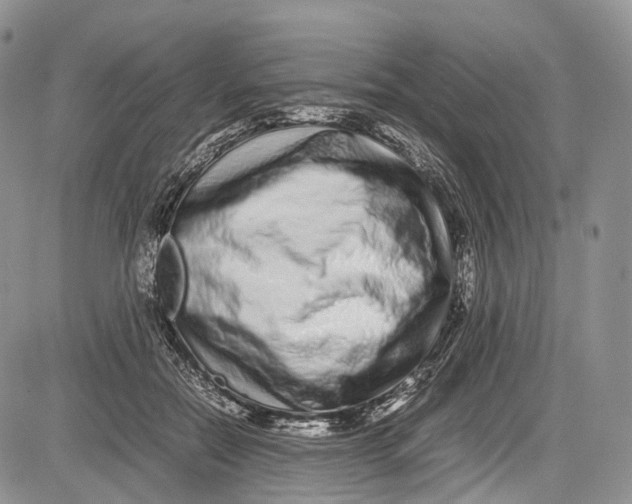 X0000081610554200702051357