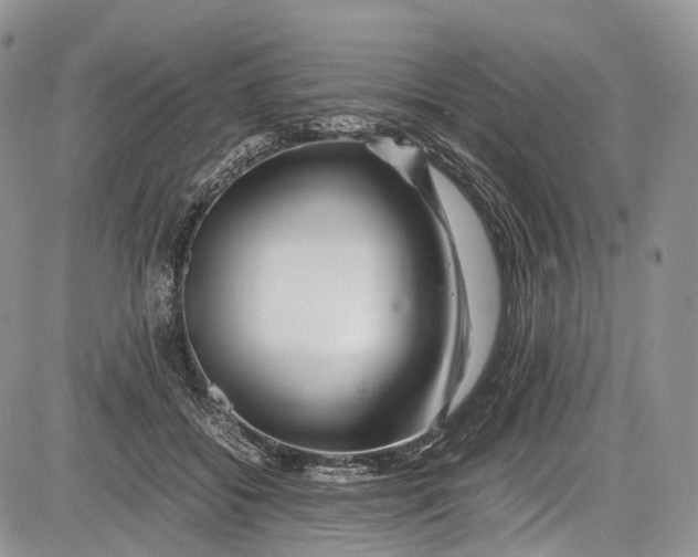 X0000081610556200702051357