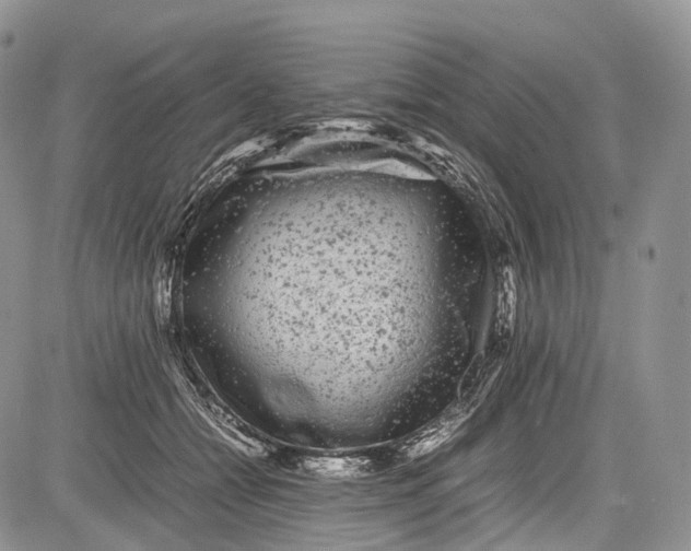 X0000081610558200702051357