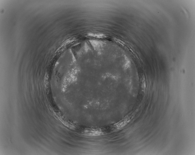 X0000081610559200702051357