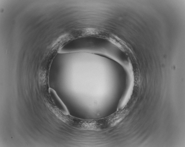 X0000081610560200702051357