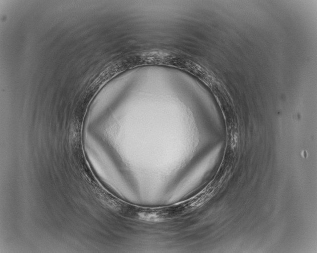 X0000081610561200702051357