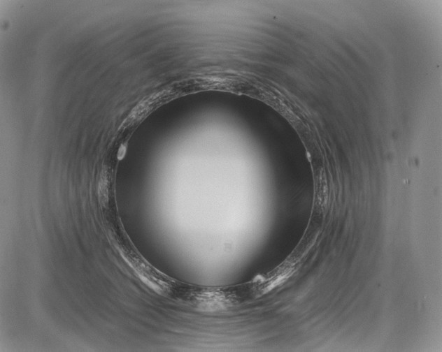 X0000081610562200702051357