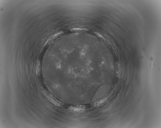 X0000081610563200702051357