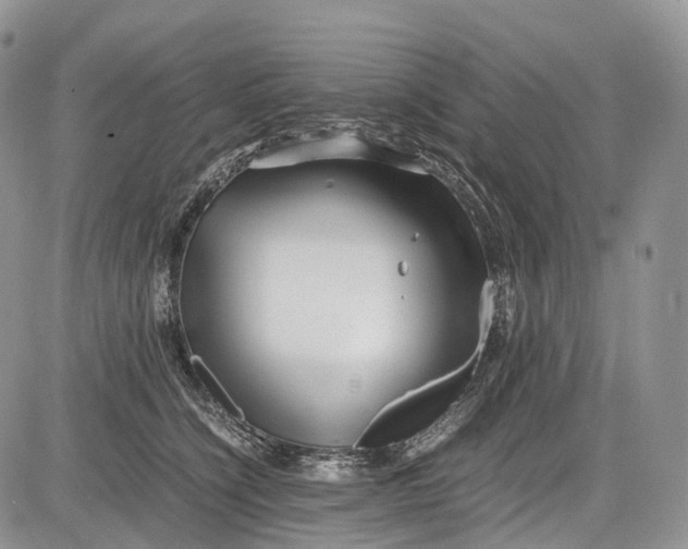 X0000081610564200702051357