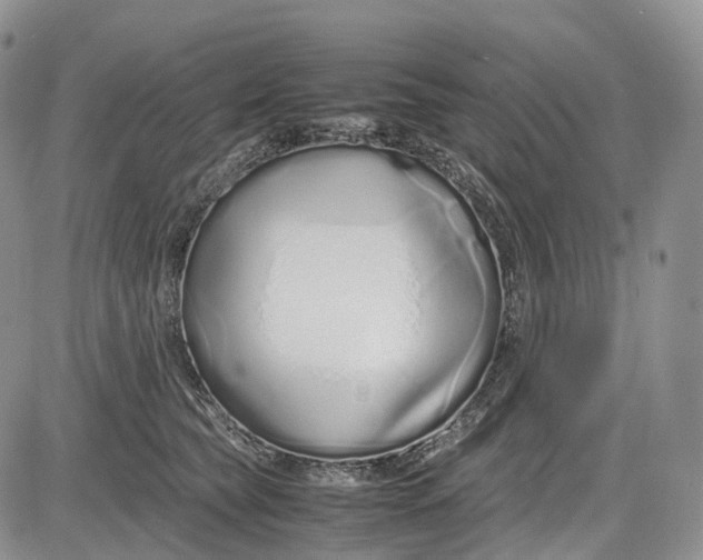 X0000081610565200702051357