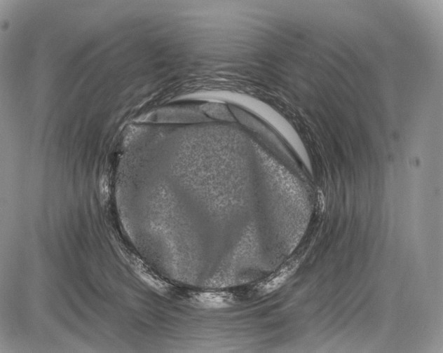 X0000081610566200702051357