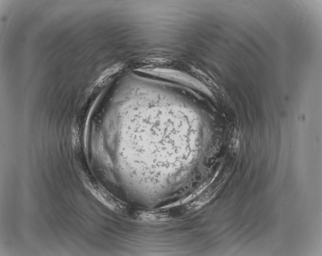 X0000081610568200702051357