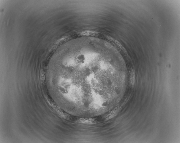 X0000081610569200702051357