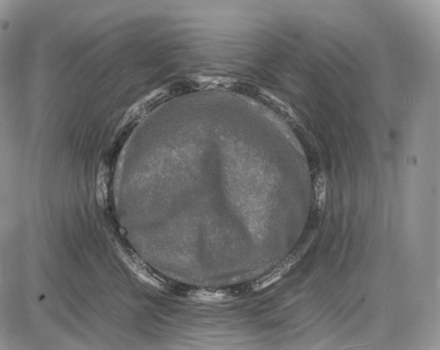 X0000081610570200702051357