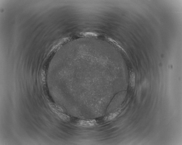 X0000081610571200702051357