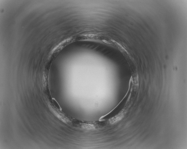 X0000081610572200702051357