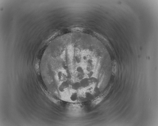 X0000081610573200702051357