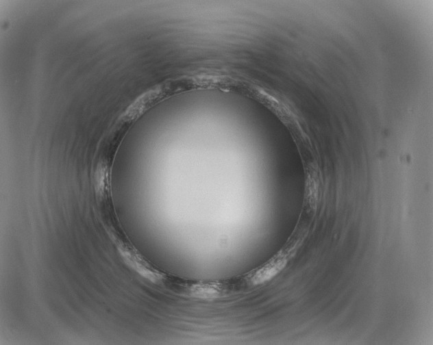 X0000081610574200702051357