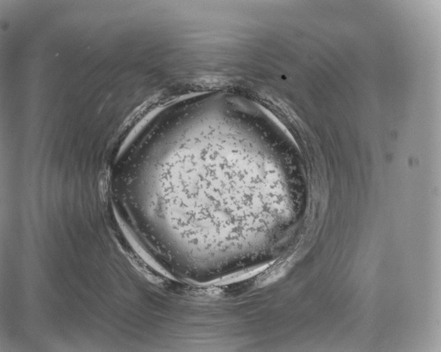 X0000081610576200702051357