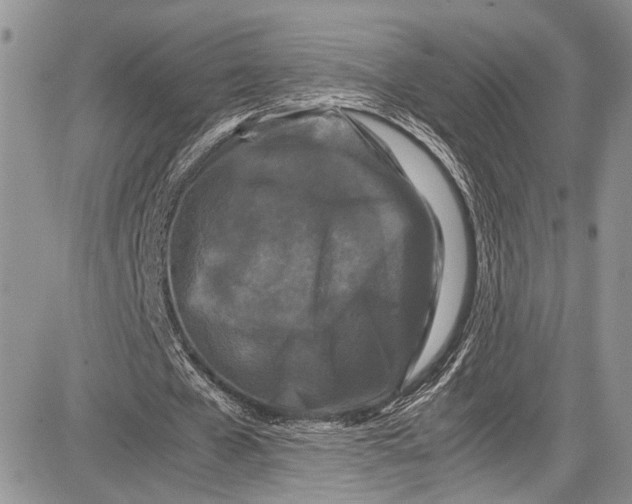 X0000081610577200702051356