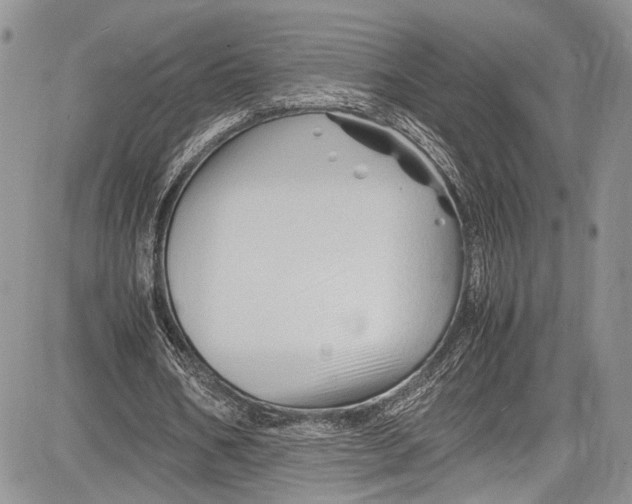 X0000081610578200702051356