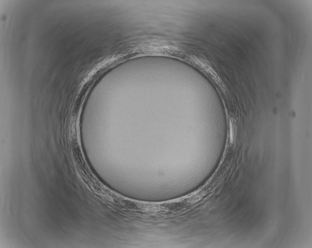 X0000081610579200702051356