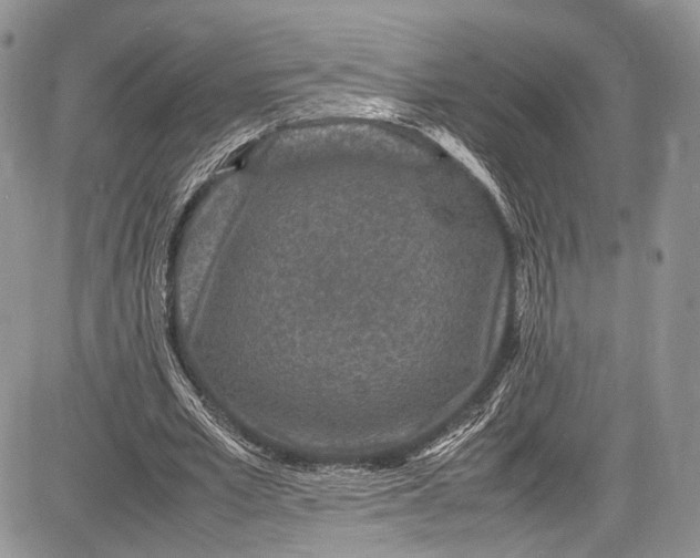 X0000081610581200702051356