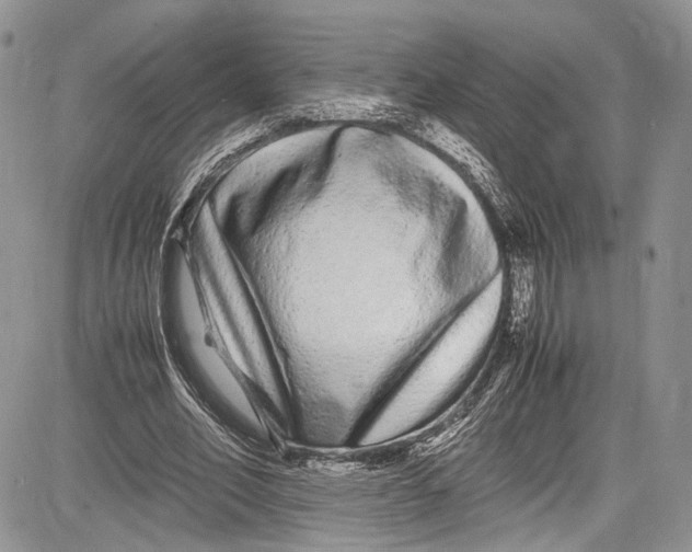 X0000081610582200702051356