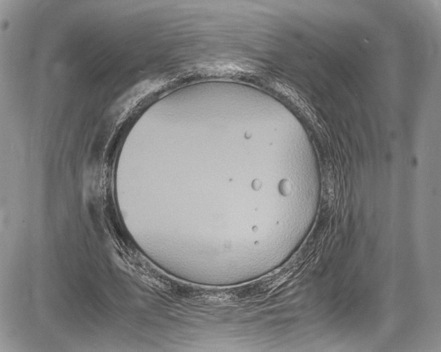 X0000081610583200702051356