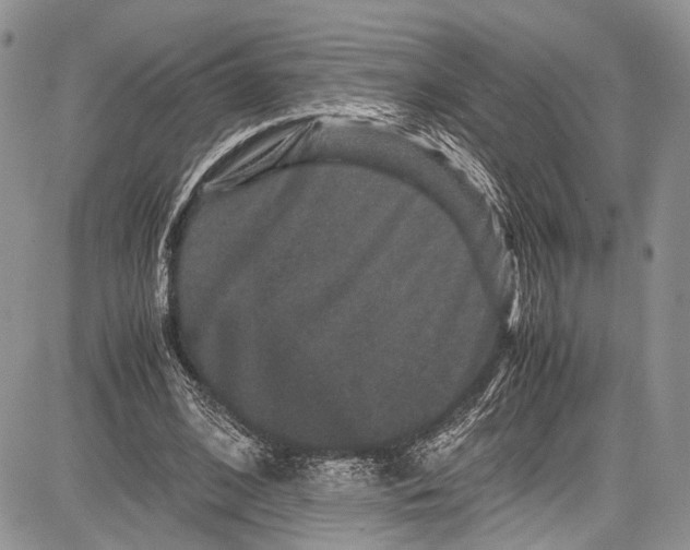 X0000081610584200702051356