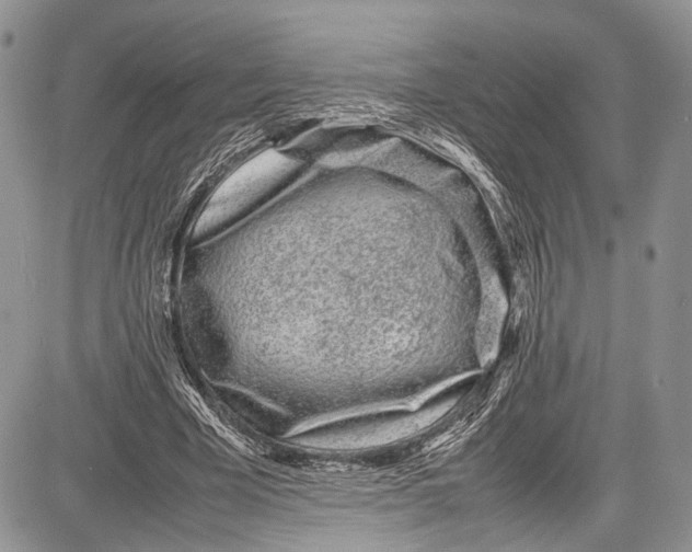 X0000081610585200702051356