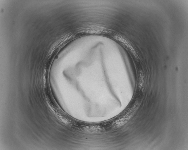 X0000081610586200702051356