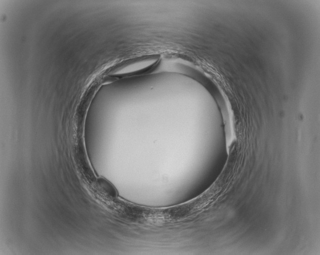 X0000081610587200702051356