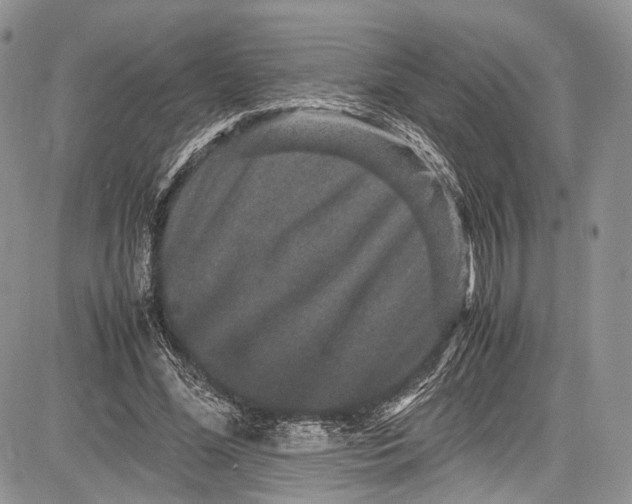 X0000081610588200702051356