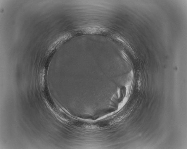 X0000081610590200702051356