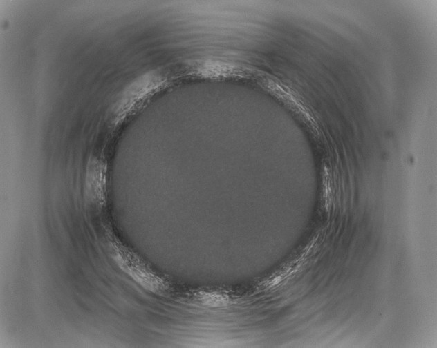 X0000081610592200702051356