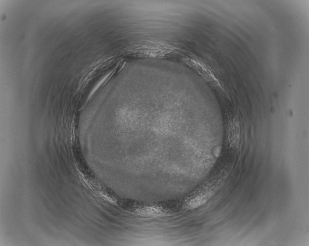 X0000081610594200702051356