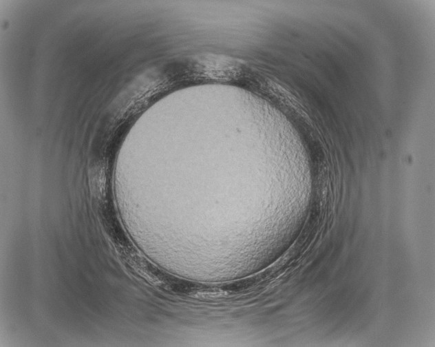 X0000081610595200702051356