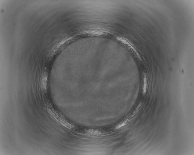 X0000081610596200702051356