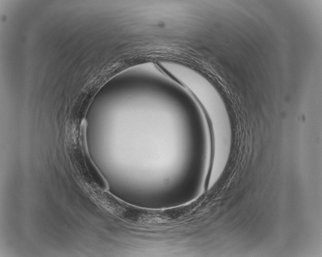 X0000081610597200702051356