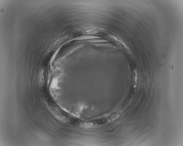 X0000081610598200702051356