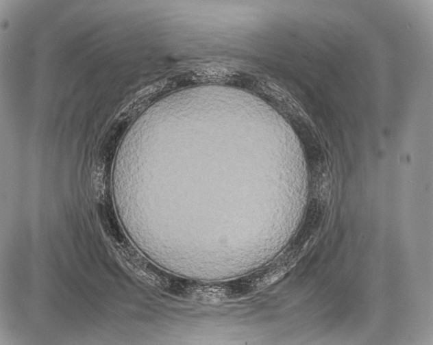 X0000081610599200702051356